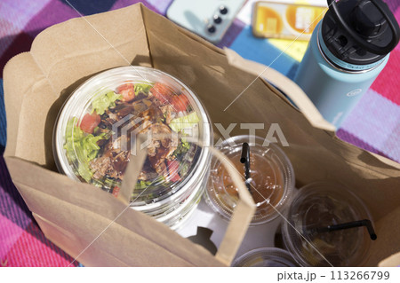 テイクアウトした食べ物　ピクニックイメージ 113266799