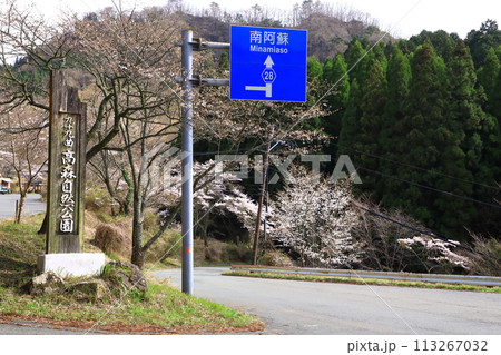 高森自然公園・千本桜 高森自然公園・千本桜 113267032