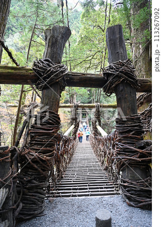 祖谷のかずら橋 縦構図 祖谷のかずら橋 縦構図 113267092