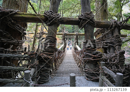 祖谷のかずら橋 祖谷のかずら橋 113267139