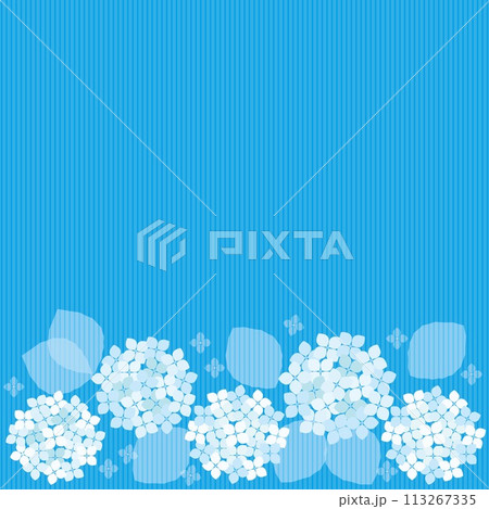 紫陽花 ストライプ フレーム 白色 水色 紫陽花 ストライプ フレーム 白色 水色 113267335