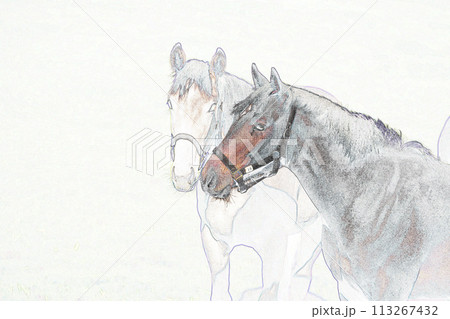 パステル調 ”2頭の馬” イラストイメージ パステル調 ”2頭の馬” イラストイメージ 113267432