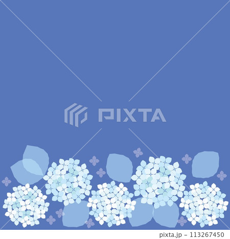紫陽花　フレーム　白色　水色 113267450