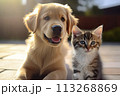 Perfect for themes of friendship, care, and the simple joys of life with animals. 113268869