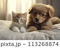 This picture is ideal for themes of friendship and the joy of pet ownership. 113268874