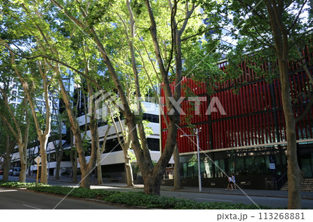 パース市中心部の緑陰が続くヒルストリートの坂道 パース市中心部の緑陰が続くヒルストリートの坂道 113268881