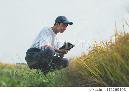 rice farming 113269108