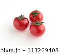 ミニトマト 113269408