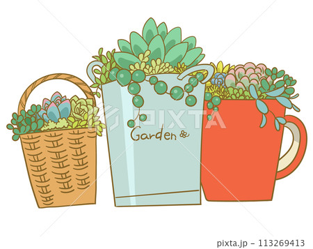 多肉植物寄せ植え 113269413