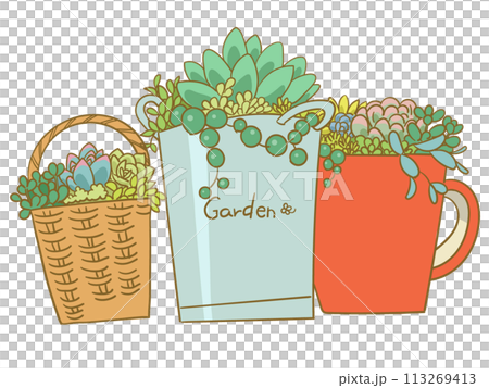 多肉植物寄せ植え 113269413