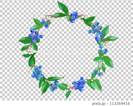 Blueberry wreath illustration 113269418