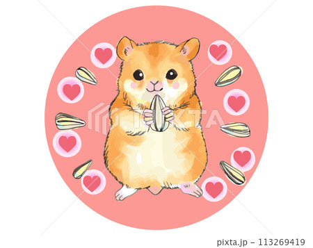 ハムスターアイコン 113269419