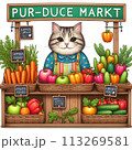 八百屋で店番しているネコ 113269581