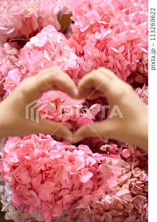 Woman's hands shaping heart in front of pink blossoms 113269622