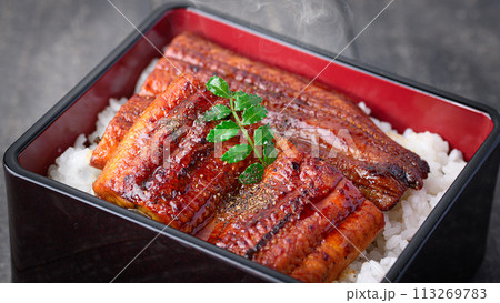 うな重 うな重 113269783