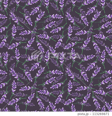 Hand drawn watercolor lavender wildflower seamless pattern isolated on dark background. Can be used for textile, fabric and other printed products. Hand drawn watercolor lavender wildflower seamless pattern isolated on dark background. Can be used for textile, fabric and other printed products. 113269871