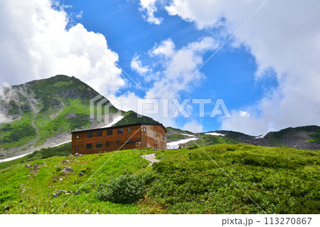 夏　立山　室堂平 113270867