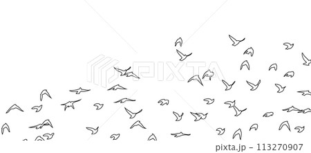 Flying birds silhouette flock. hand drawing. Not AI, Summer vector illustration 113270907