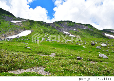 夏　残雪　立山　室堂平　7月26日撮影 113271144