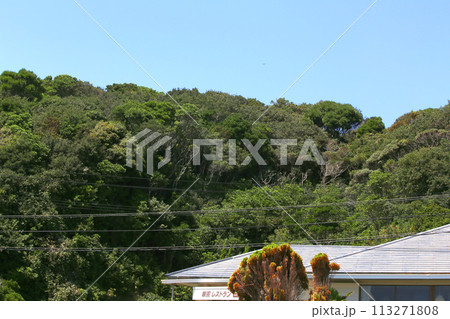 伊勢　国府の浜　サーフィン　サーフスポット　ビーチ　阿児町町国府　サーフボード　伊勢志摩 113271808