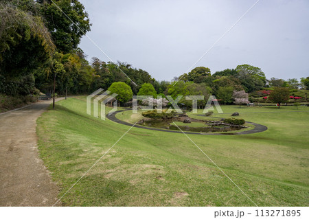 桜咲く妙泉寺公園 桜咲く妙泉寺公園 113271895