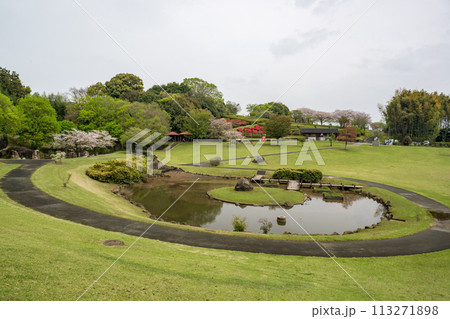 桜咲く妙泉寺公園 桜咲く妙泉寺公園 113271898