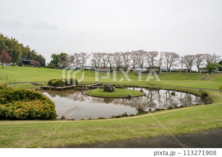 桜咲く妙泉寺公園 桜咲く妙泉寺公園 113271908
