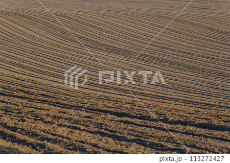 Plowed, Planted And Hilling Rows Black-earth Field. Ground Texture 113272427
