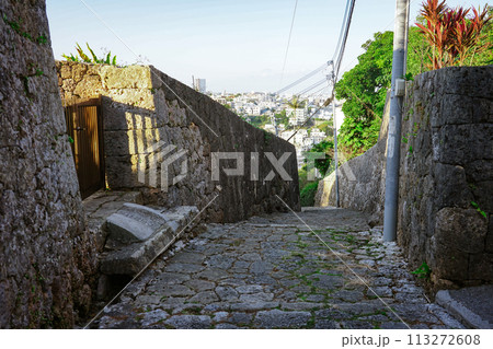 シマシービラ 金城町石畳道（沖縄県那覇市） 113272608