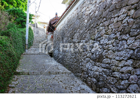 シマシービラ 金城町石畳道（沖縄県那覇市） 113272621