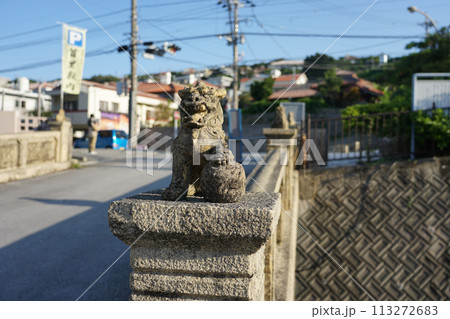 シマシービラ 金城町石畳道(沖縄県那覇市) シマシービラ 金城町石畳道(沖縄県那覇市) 113272683