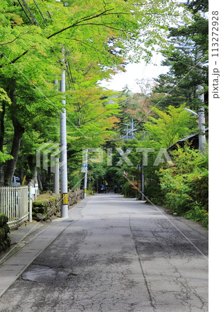 新緑の季節の緑が美しい散歩道 《長野県》 113272928