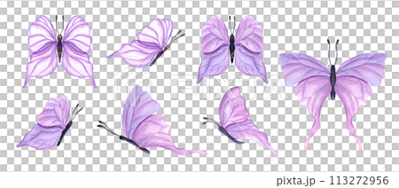 Fluttering pink butterflies. Set of abstract watercolor tropical insects. Hand drawn illustration of cute butterfly. For textile, wedding invitation, banner design 113272956