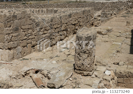 Ruins of Ancient Paphos Bathhouse. Archaeological Museum of the Paphos 113273240