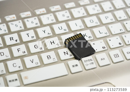 sdカードとキーボードのイメージ sdカードとキーボードのイメージ 113273589