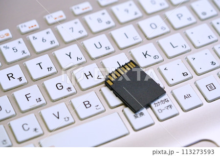 sdカードとキーボードのイメージ sdカードとキーボードのイメージ 113273593