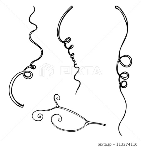 Hand drawn watercolor ink illustration botanical flowers leaves. Sweet everlasting pea, vetch bindweed legume tendrils. Single element isolated white background. Design wedding, cards, floral shop 113274110