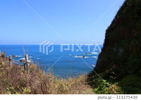大王崎灯台　大王崎　灯台　三重県大王町　八満さん公園　伊勢湾　太平洋　県営波切漁港　波切九鬼城址　 113275430