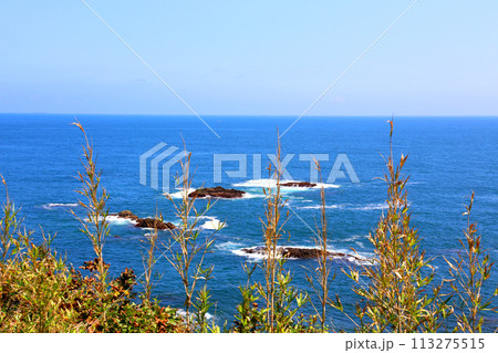 大王崎灯台　大王崎　灯台　三重県大王町　八満さん公園　伊勢湾　太平洋　県営波切漁港　波切九鬼城址　 113275515