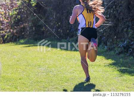 One Cross Country runner in the lead of a 5K in a park One Cross Country runner in the lead of a 5K in a park 113276155