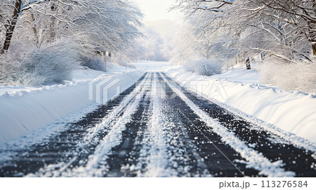 除雪された山の中の道路 113276584
