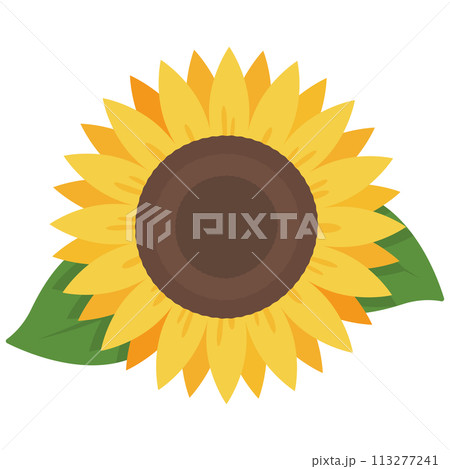 シンプルなひまわりのアイコン シンプルなひまわりのアイコン 113277241