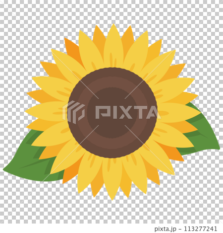 Simple sunflower icon 113277241