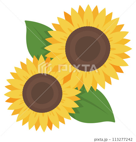 シンプルなひまわりの花のイラスト 113277242