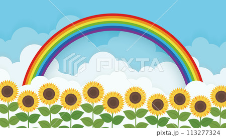 虹とひまわり畑に虹を架かる虹 113277324