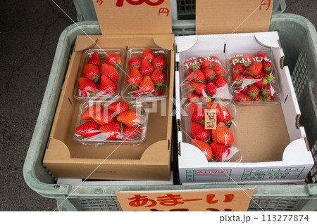 いちご売り場 いちご売り場 113277874