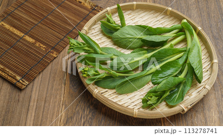 ツボミのついた小松菜(小松菜の菜の花) ツボミのついた小松菜(小松菜の菜の花) 113278741