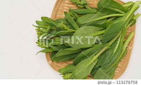 ツボミのついた小松菜(小松菜の菜の花) 113278758