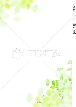 さわやかで透明感のある新緑のフレーム さわやかで透明感のある新緑のフレーム 113279028