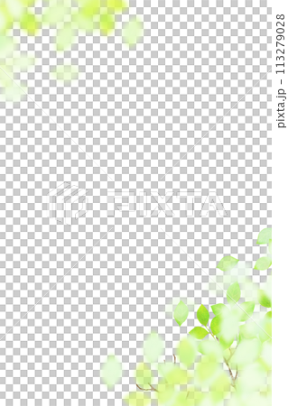 清爽透明的清新綠框 113279028